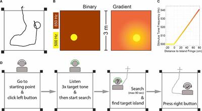 An Active Sensing Paradigm for Studying Human Auditory Perception